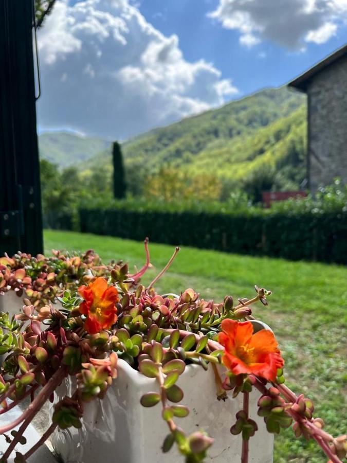 La Casina Del Bassotto Bagni di Lucca Eksteriør bilde